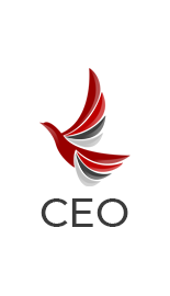 CHIEF EXECUTIVE OFFICER